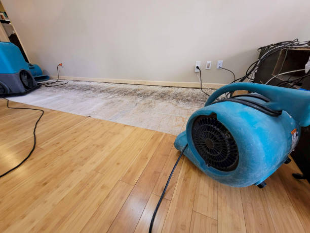 Professional Water Removal technician working in Thorndale, TX
